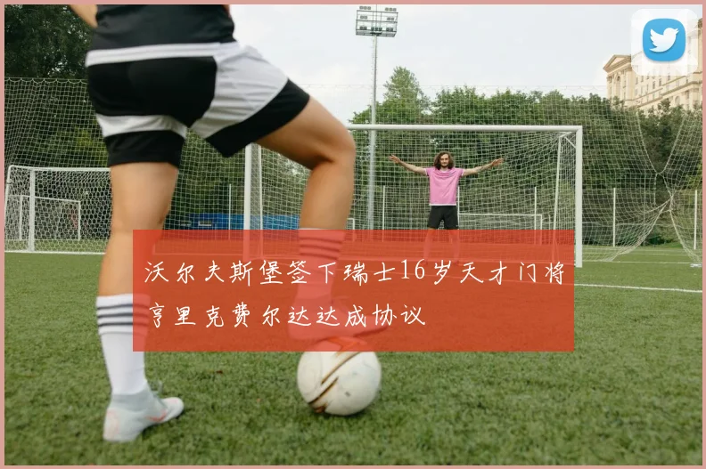 沃尔夫斯堡签下瑞士16岁天才门将亨里克费尔达达成协议