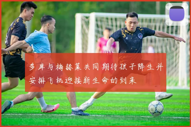 多库与梅赫莱共同期待孩子降生并安排飞机迎接新生命的到来